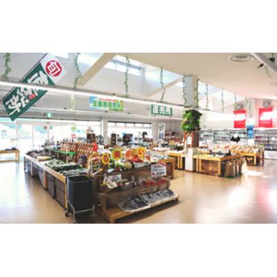 ふるさと納税 鳩山町 鳩山町上熊井農産物直売所用クーポン券(9,000円分)[No.5721-0159]の画像