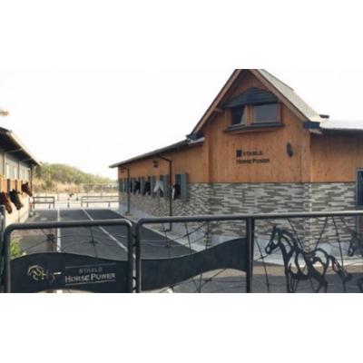 ふるさと納税 鳩山町 ステーブルホースパワー(乗馬クラブ)用クーポン券(6,000円分)