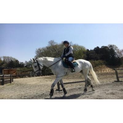 ふるさと納税 鳩山町 ステーブルホースパワー(乗り馬野球クラブ用)引き換え証券(15,000円分)[No.5721-0155]