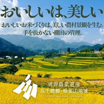 ふるさと納税 高千穂町 令和7年産【3か月定期便】13代目甲斐長衛門が選び抜いた高千穂産ひのひかり 長衛門米5kg×3回の画像