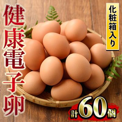 ふるさと納税 いちき串木野市 鹿児島県産!健康電子卵(計60個・10個入り×6P)