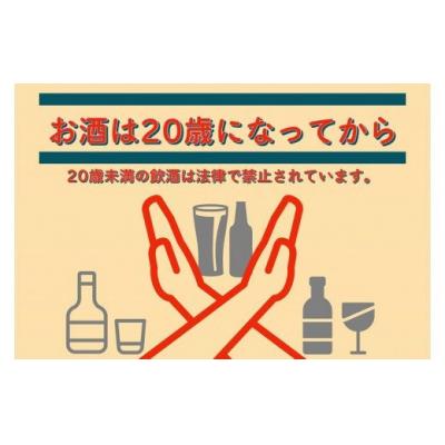 ふるさと納税 いちき串木野市 「だいやめ」DAIYAME 焼酎合計6本(900ml&times;6本)セット!店主オススメのおつまみ付き!