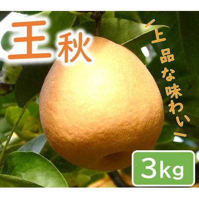 ふるさと納税 鳥取市 王秋梨 3kg[やぶやフルーツガーデン]