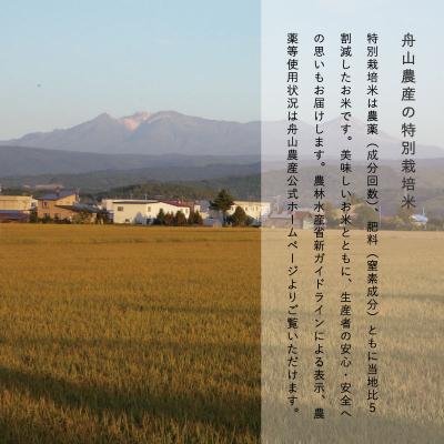 ふるさと納税 当麻町 特別栽培米米粉1個【AB-006】｜y-sf｜04