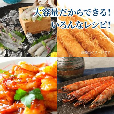 ふるさと納税 国東市 鮮度抜群!活き〆冷凍車海老(750g)_29017B 