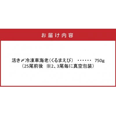 ふるさと納税 国東市 鮮度抜群!活き〆冷凍車海老(750g)_29017B 
