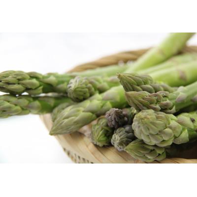 ふるさと納税 由仁町 金山農場 グリーンアスパラ(S・Mサイズ)[Z02]