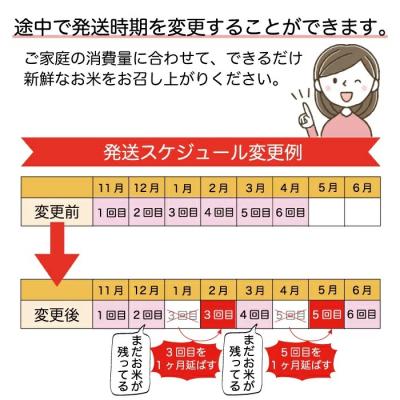 ふるさと納税 戸沢村 <令和4年産米受付>戸沢村厳選 コシヒカリ <無洗米> 定期便60kg (10kg×6回お届け)|y-sf|03