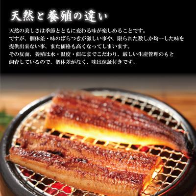 ふるさと納税 四万十市 【6回定期便】6ヵ月年代順の継続＜四万十食料雑貨類＞ウナギ蒲焼 きざみ5袋(足し加える225g) /K5.26-1034