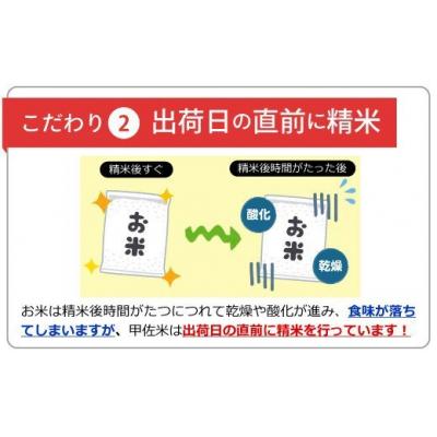 ふるさと納税 甲佐町 令和7年産『甲佐の輝き』精米10kg【配送指定可