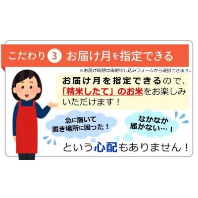 ふるさと納税 甲佐町 令和7年産『甲佐の輝き』精米10kg【配送指定可