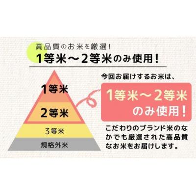 ふるさと納税 甲佐町 【定期便6ヶ月】令和4年度新米 熊本を代表するブランド米「森のくまさん」の単一原料米15kg×6ヶ月|y-sf|04