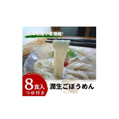 ふるさと納税 甲佐町 潤生ごぼうめん8食入り