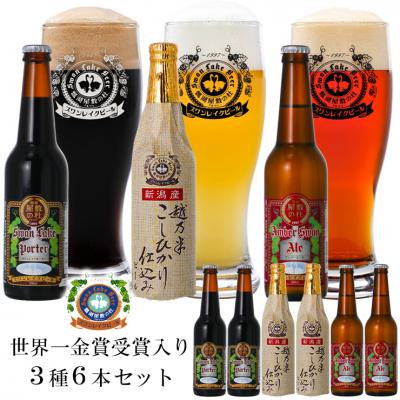 ふるさと納税 阿賀野市 スワンレイクビール 受賞3種×2セット