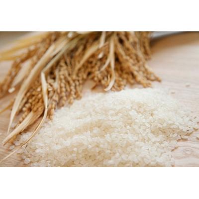 ふるさと納税 阿賀野市 【令和7年産】新潟産コシヒカリ瓢湖米 20kg