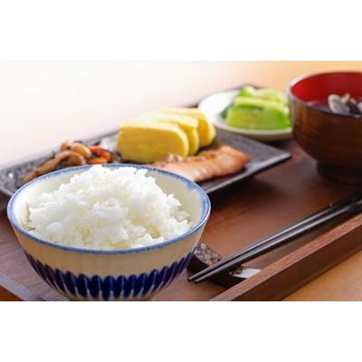 ふるさと納税 阿賀野市 【令和7年産】新潟産コシヒカリ瓢湖米 20kg
