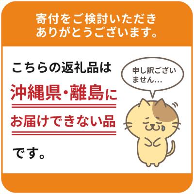 ふるさと納税 千代田町 【隔月6回コース定期便】プレモル【香るエール】350ml×24本 ch016-003-7r｜y-sf｜04