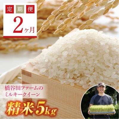 ふるさと納税 西会津町 [定期便2ヶ月][先行受付]西会津産米 ミルキークイーン 精米 5kg