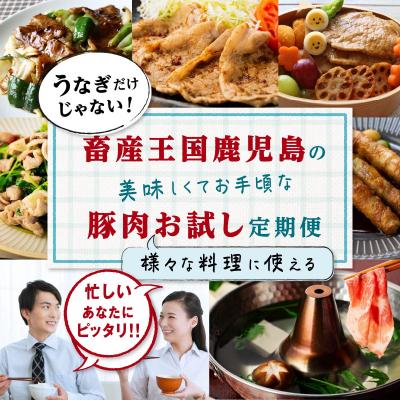 ふるさと納税 大崎町 九州産豚肉お試し定期便5.26kg(計3回)|y-sf|02