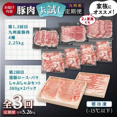 ふるさと納税 大崎町 九州産豚肉お試し定期便5.26kg(計3回)|y-sf|03