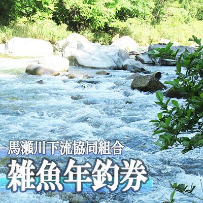 ふるさと納税 下呂市 予約受付[令和8年]馬瀬川下流!! 雑魚年釣券 渓流釣り 年券 [26-5]