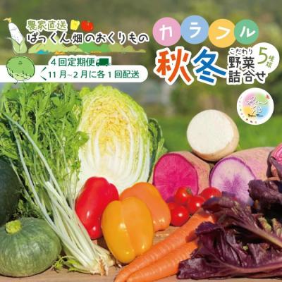 ふるさと納税 四万十市 [4回定期便]ぱっくん畑の秋・冬野菜セット約5種類[R8.11月〜R9.2月まで毎月1回]