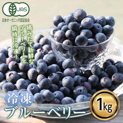 ふるさと納税 富岡市 [有機JAS認定] 冷凍ブルーベリー (1kg) F20E-848