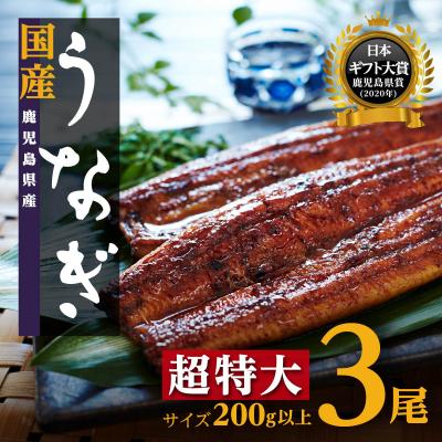 ふるさと納税 大崎町 鹿児島県産長蒲焼特大3尾(200g以上×3尾)