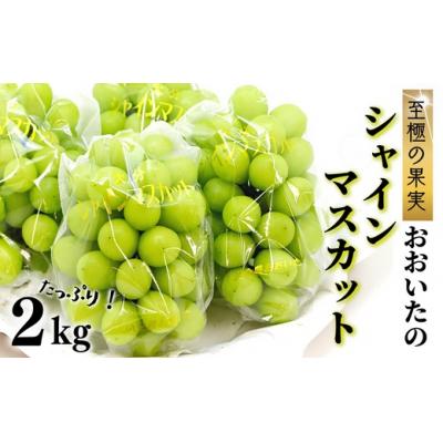 ふるさと納税 豊後高田市 大分県産シャインマスカット2kg [先行受付]