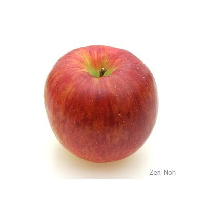 ふるさと納税 宮田村 [先行受付]季節のりんご『シナノスイート』(5kg)