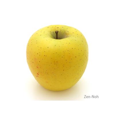 ふるさと納税 宮田村 [先行受付]季節のりんご『シナノゴールド』(5kg)