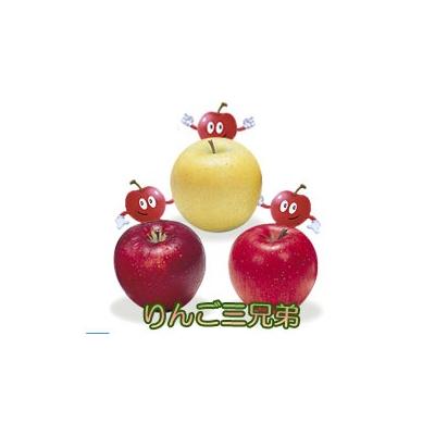 ふるさと納税 宮田村 [先行受付]季節のりんご『お任せコース』(5kg)