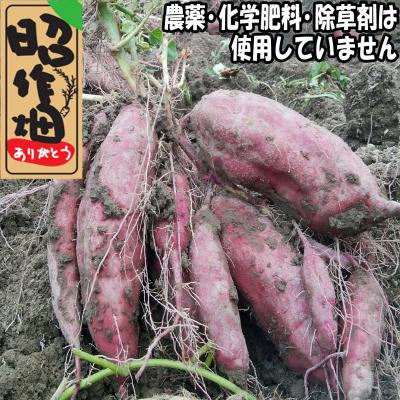 ふるさと納税 奈半利町 さつまいも食べ比べセット5kg 106005