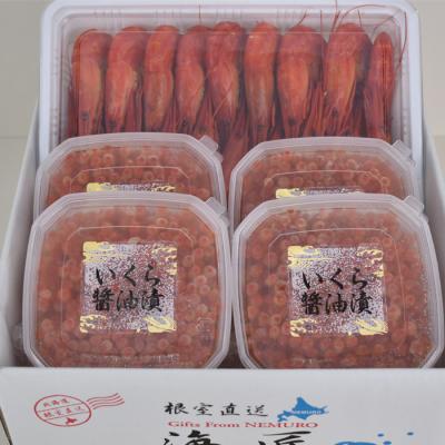 ふるさと納税 根室市 いくら醤油漬け320g・北海しまえび500gセット B-81010|y-sf|02