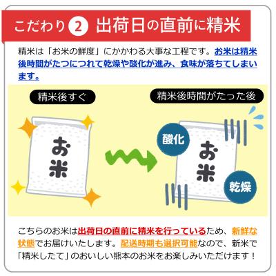 ふるさと納税 甲佐町 令和7年産『甲佐の輝き』精米20kg【配送指定可