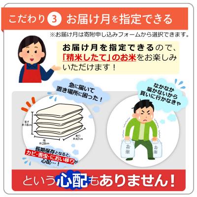 ふるさと納税 甲佐町 令和7年産『甲佐の輝き』精米20kg【配送指定可