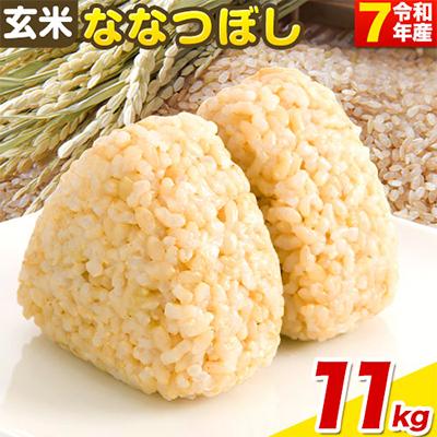 ふるさと納税 当別町 【令和7年産】玄米ななつぼし11kg : さとふる
