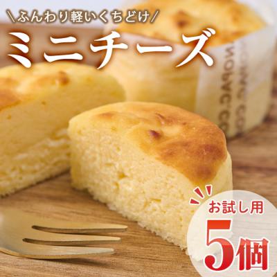 ふるさと納税 佐伯市 &lt;お試し用&gt;濃厚チーズケーキ (計5個)