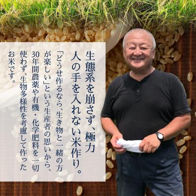 ふるさと納税 焼津市 令和5年産新米 30年間無農薬・無肥料のお米(玄米)亀の尾5kg(a21-042) 
