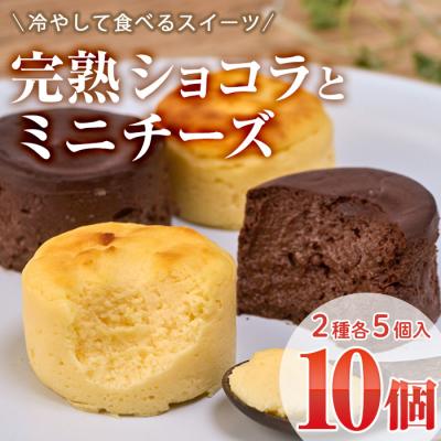ふるさと納税 佐伯市 濃厚ショコラ・チーズケーキ (合計10個・2種×5個)