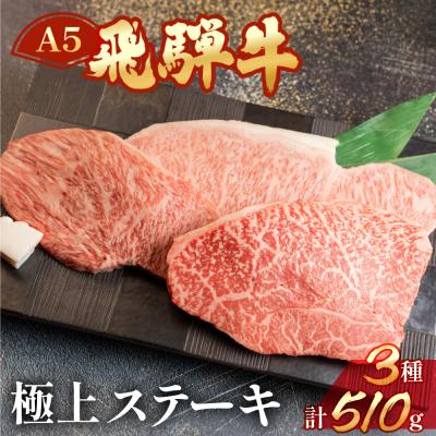 ふるさと納税 下呂市 [冷凍]飛騨牛サーロイン・イチボ・ランプステーキセット 各約170g[11-18]