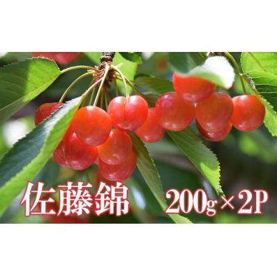 ふるさと納税 福島市 さくらんぼ 佐藤錦 200g×2パック[2024年発送]No.2227