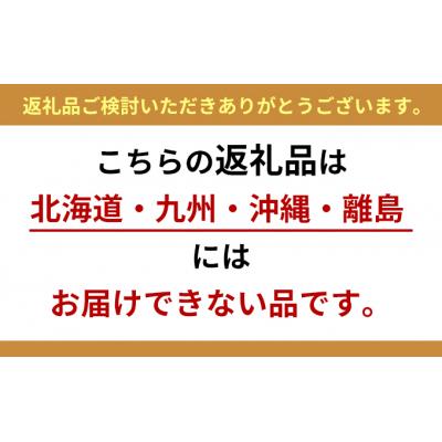 ふるさと納税 東吾妻町 群馬の名水 箱島湧水エアL 12L×2本×3回[No.5819-0231]の画像
