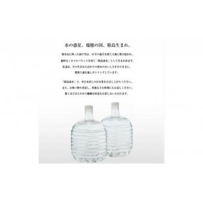 ふるさと納税 東吾妻町 群馬の名水 箱島湧水エアL 12L×2本×3回[No.5819-0231]の画像