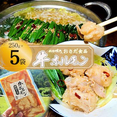 ふるさと納税 下呂市 [飛騨 味職人]牛ホルモン 網焼き用(250g×5袋)飛騨 牛肉 ホルモン[57-16]