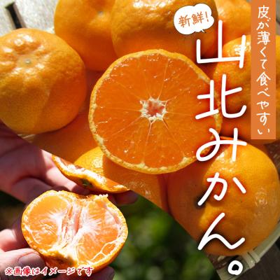 ふるさと納税 香南市 【11月中旬より順次配送】高橋農園 山北みかん3kg(露地・S〜M) th-0023 |  | 01