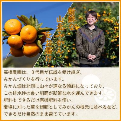 ふるさと納税 香南市 【11月中旬より順次配送】高橋農園 山北みかん3kg(露地・S〜M) th-0023 |  | 02