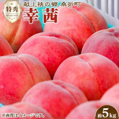 ふるさと納税 桑折町 もも[幸茜・2026年産先行受付]特秀 5kg 桑折町産 JAふくしま未来 桃