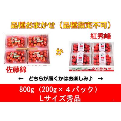 ふるさと納税 上山市 さくらんぼ(佐藤錦か紅秀峰)Lサイズ 秀品 800g(200g×4パック)