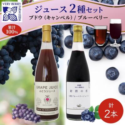ふるさと納税 仁木町 有機キャンベル・ブルーベリージュース飲み比べ710ml×2本